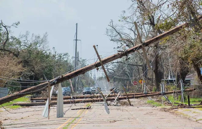 Wooden utility pole fallen in street