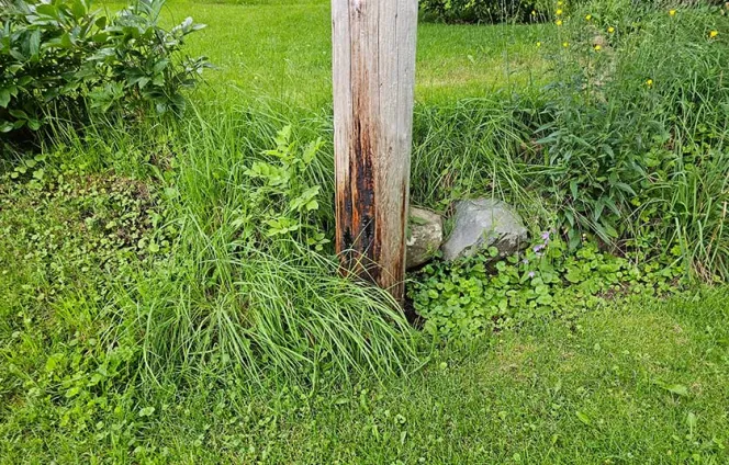 Wooden utility pole with corrosion