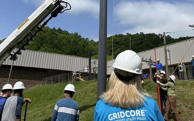 Avient GridCore™ Composite Utility Poles